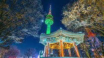 Night Flexible Private Guided Tour in Seoul(Optional Layover)
