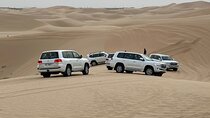 Abu Dhabi Desert Safari With BBQ Dinner & Live Shows