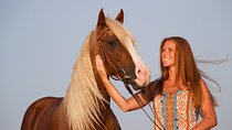 1 Hour Guided Horse Riding Activity in Sharm El Sheikh