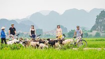 Ninh Binh Full Day Tour with Hoa Lu, Tam Coc and Mua Cave