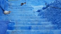  From Fez Day Trip to Chefchaouen 