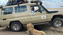 5-Day Camping Safari | Tarangire | Ngorongoro | Serengeti