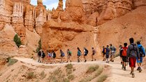 Full-Day Small Group Tour in Bryce Canyon 