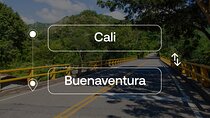 Cali to or from Buenaventura Private Transfer
