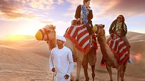 Dubai Stargazing & Desert Safari, Camel Ride, Show & BBQ Dinner