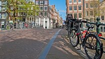 The Best of Amsterdam: Private Full-Day Tour with a Canal Cruise