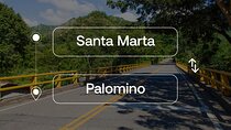 Santa Marta to or from Palomino Private Transfer
