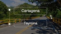 Cartagena to or from Tayrona Park Private Transfer
