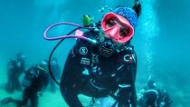 Scuba Diving Tour With Lunch in Alanya