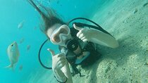 8-Hour Scuba Diving Experience in Side with Lunch