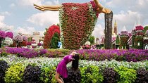 Dubai Miracle Garden Tour with Optional Transportation Services