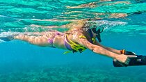 Guided Jet Snorkel Experience, Free Videos in West Palm Beach