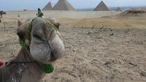 All-In-One Giza Pyramids, Sphinx, Camel, ATVs & Dinner Cruise