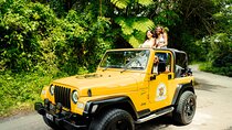 Half Day Private Tour in St. Lucia Jeep Wrangler