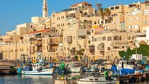 Full Day Private Shore Tour in Tel Aviv from Haifa Cruise Port