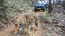 6 Days Golden Triangle with Ranthambore & Varanasi Tour