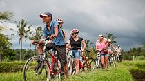 Bali Cycling and Ubud Tour Packages