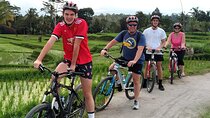 Bali Cycling Adventure and Tanah Lot Sunset Tour