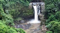 Ubud Village, Waterfall and Kintamani Volcano Tour