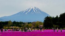 VIP Mt. Fuji & Hakone With Beautiful Lakes Customized Day Tour