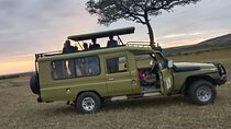 4-Day Group Safari to Maasai Mara & Lake Nakuru- 4 x 4 jeep