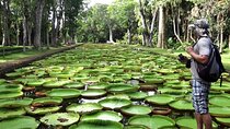Full Day Tour of Botanical Garden and L'Aventure du Sucre