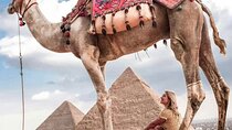 Top Tour Giza Pyramids ,Sphinx ,camel ride and ATV safari