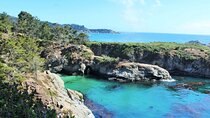 Point Lobos - A Private Charming Ocean Tour