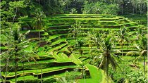 Discover Ubud: 2 Days Ubud Private Tour