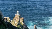 Cape of Good Hope and Penguins Tour 