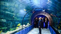 Full-day Tour of Odysseo Aquarium and Chateau de Labourdonais