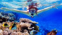 Blue Lagoon & Tanjung Jepun Snorkeling Private Tour
