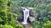 Private Half-Day Tour : Ubud Waterfall Tour Packages