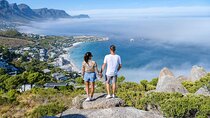 Full Day Private Shore Tour In Cape Town From Cape Town Port
