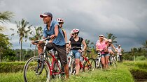 Bali Cycling and ATV Ride Adventure Tours