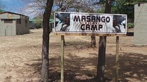 4 Day Masango Safari Tour
