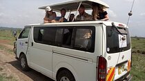 3 Days Group Safari to Masai Mara in a Land Cruiser Jeep