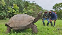 Santa Cruz Highland Tour: Giant Tortoises, Lava Tunnel & Gemelos
