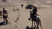 Private Valparaiso, Horse Riding Sea Sand Dunes & BBQ 