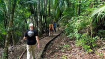 Guided hike in the Metropolitan Park of Panama