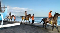 Bali Horse Riding and Quad Bike Adventure Tours