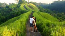 Bali Car-Charter: Half Day Ubud Village Tour
