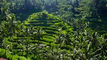 Private Full-Day Tour: Explore The Villages Of Ubud Bali