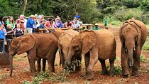 Half day tour to Elephant orphanage and Giraffe Centre Nairobi