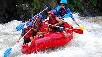 Ayung River Rafting and Bali ATV Ride Adventures