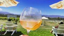 Yarra Valley Foodies Tour with Chandon & Kangaroo Safari!