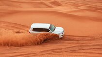 From Abu Dhabi: Experience the Thrill Desert Safari - Dubai