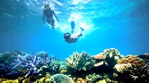 Blue Lagoon Snorkeling and Ubud Waterfall Tour