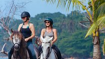 Bali Horse Riding and Ubud Rice Terrace, Hidden Waterfall Tour