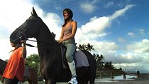 Bali Horse Riding in Saba Bay for 1 Hour with Pick Up Service